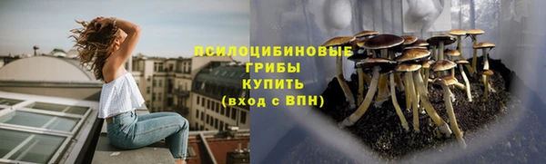 скорость Тайга