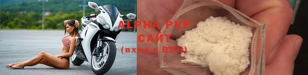 эйфоретик Сясьстрой