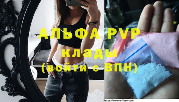 скорость Тайга