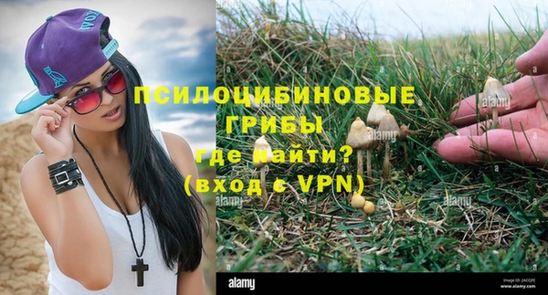 эйфоретик Сясьстрой