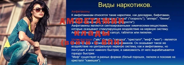 скорость Тайга