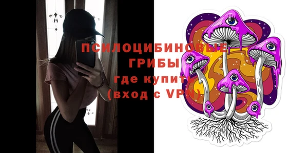 скорость Тайга