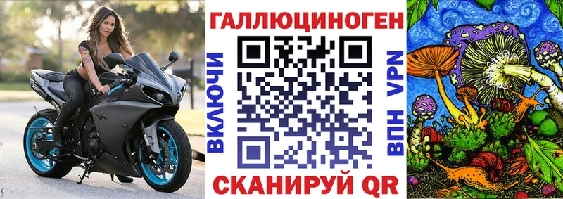 Псилоцибиновые грибы прущие грибы  Купить где  Каргат 